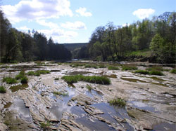 Near Lacy's Cave